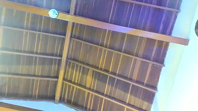 TonyPetrovjs online show from February 26, 2026, 5:50 am