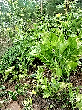 Snapshot of ngocbao11 chatting on February 26, 2026, 1:04 am ngocbao11 online show from February 26, 2026, 1:04 am