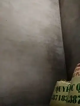 ngocbao11 online show from April 26, 2026, 2:31 am