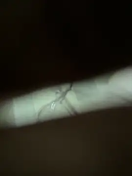 neekosam12 online show from March 23, 2026, 5:06 pm