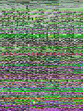 kana 0012 online show from March 7, 2026, 12:51 am