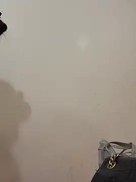 Dautay-mup online show from March 4, 2026, 3:40 pm