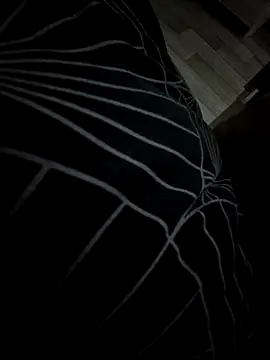 Italiano5 online show from February 21, 2026, 9:49 pm