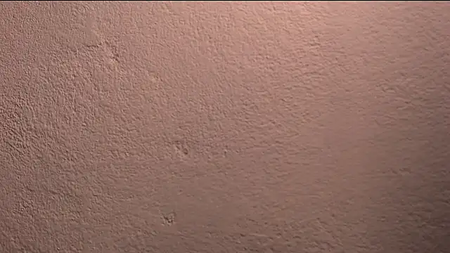 alison smith0622 online show from April 21, 2026, 12:01 am