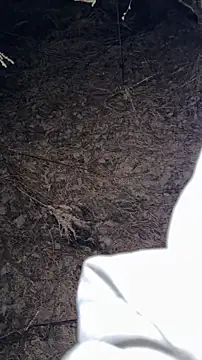 Snapshot of salfetka_sex chatting on March 23, 2026, 5:17 pm salfetka sex online show from March 23, 2026, 5:17 pm