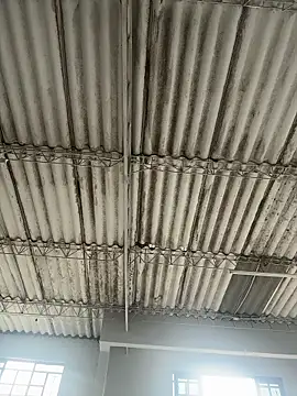 soribakerr online show from March 25, 2026, 8:26 pm