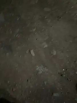 parth73637 online show from February 23, 2026, 2:47 pm