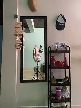 Snapshot of AnelimDagota_ chatting on March 26, 2026, 11:49 am AnelimDagota online show from March 26, 2026, 11:49 am