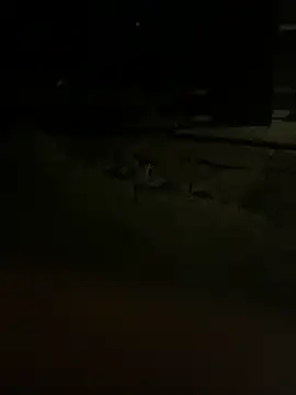 princessandthefootjob online show from March 31, 2026, 4:35 am