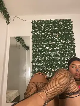 Jazmin chell online show from April 8, 2026, 2:17 pm