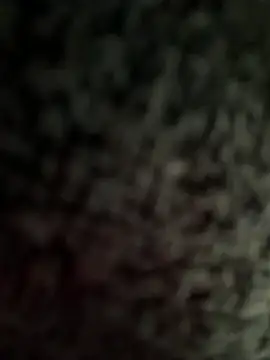 jesus-31 online show from April 2, 2026, 12:41 am