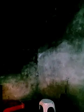 elen8800 online show from April 19, 2026, 11:09 am