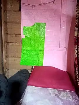 Meo-catwet online show from March 28, 2026, 2:05 pm