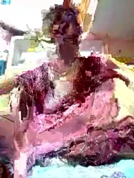 Poonam bhoji online show from April 2, 2026, 3:31 pm