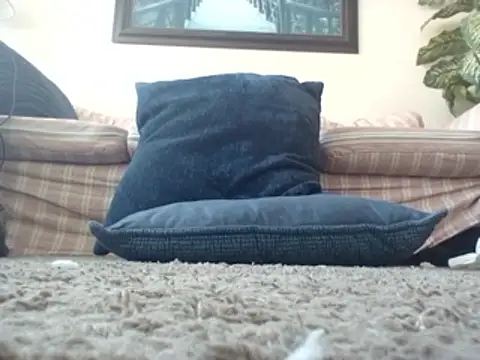 Snapshot of WorthingtonM3 chatting on March 20, 2026, 3:50 pm WorthingtonM3 online show from March 20, 2026, 3:50 pm