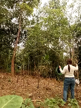 Snapshot of lyly_sexx chatting on March 28, 2026, 1:05 am lyly sexx online show from March 28, 2026, 1:05 am