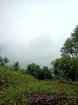 Snapshot of lyly_sexx chatting on April 2, 2026, 2:20 am lyly sexx online show from April 2, 2026, 2:20 am