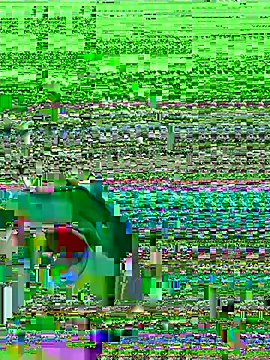 midsize 94 online show from February 26, 2026, 3:38 am