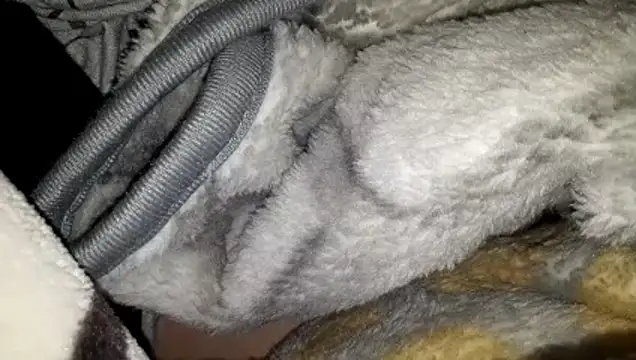 azmanmami online show from March 20, 2026, 10:47 pm