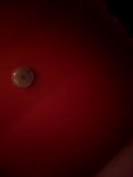 alexandruElena online show from February 28, 2026, 6:20 pm