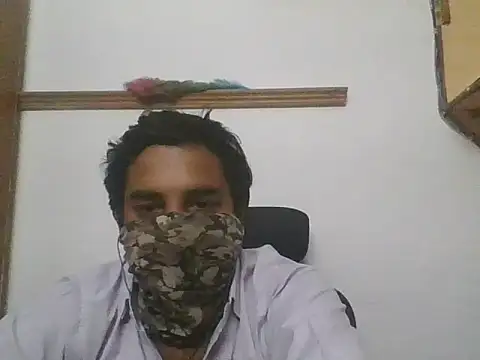 gregariouscarpet online show from May 5, 2026, 12:46 pm