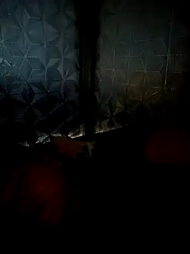 dualeo11 online show from March 30, 2026, 11:06 pm