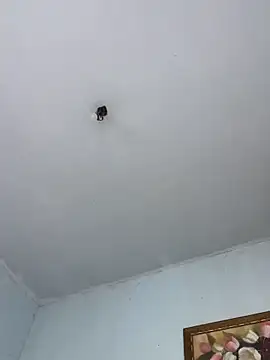 Snapshot of BigBig024 chatting on March 8, 2026, 5:17 pm BigBig024 online show from March 8, 2026, 5:17 pm