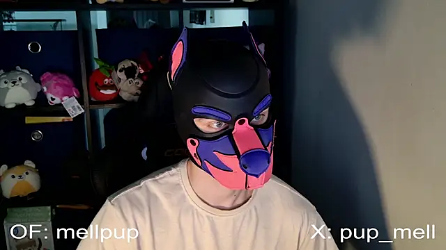 MellPUP online show from June 25, 2026, 1:04 pm