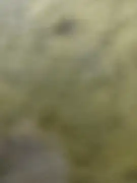 clayto77 online show from March 6, 2026, 12:07 am