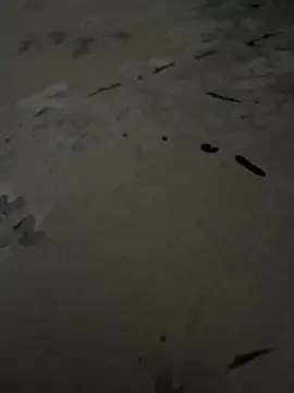 sharks90 online show from July 6, 2026, 3:58 am