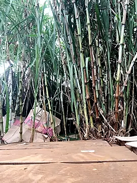 Tini-mimi online show from April 23, 2026, 12:45 am