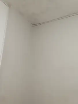 hacheshx online show from March 17, 2026, 9:56 am