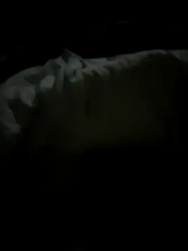 tundrata online show from March 20, 2026, 1:43 am