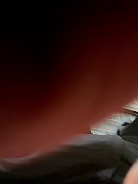  Euphoria 57 online show from March 18, 2026, 7:28 pm