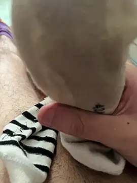 Principe0023 online show from March 23, 2026, 2:54 pm