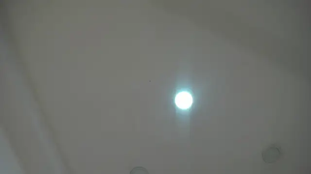 AlaskaFlowerss1  online show from June 30, 2026, 3:07 am