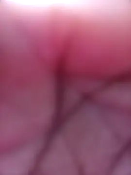 SexyJellyBee online show from March 18, 2026, 11:57 am