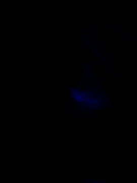 MetSuntan online show from May 11, 2026, 6:16 pm