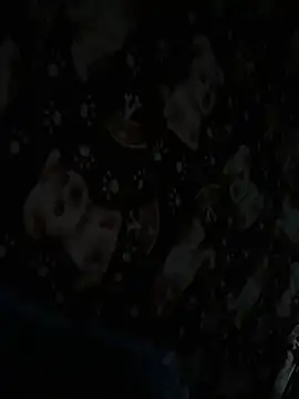 Anita vegaa  online show from June 6, 2026, 11:26 am