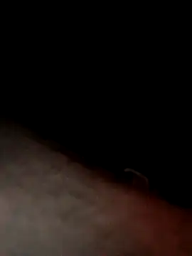 dannyboy8in online show from March 24, 2026, 5:34 am