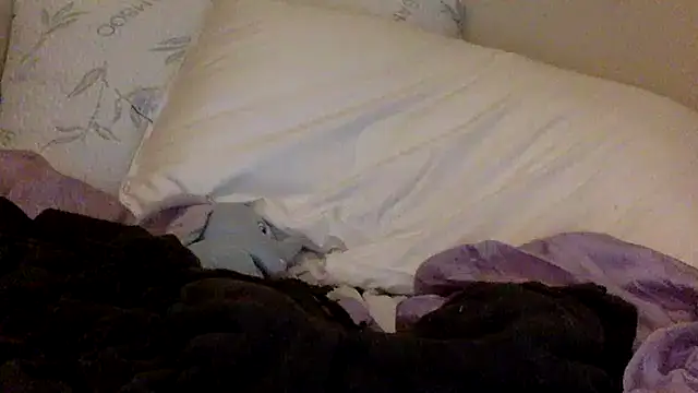 Snapshot of savannabanana chatting on March 26, 2026, 3:34 am savannabanana online show from March 26, 2026, 3:34 am