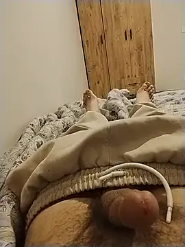 y2561 online show from May 15, 2026, 11:23 pm