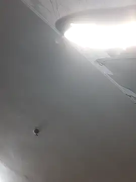 ShellBixAngeLL online show from April 1, 2026, 5:54 pm