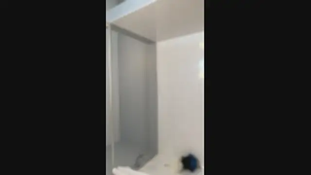 Mexibear online show from July 14, 2026, 3:18 pm