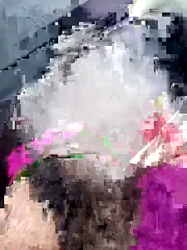 Sarita-sousou online show from April 1, 2026, 5:32 pm