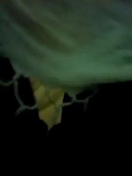 Snapshot of yourdreamman007_ chatting on March 31, 2026, 11:27 pm yourdreamman007 online show from March 31, 2026, 11:27 pm