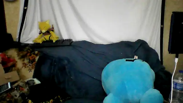 BriTheTopBear online show from April 21, 2026, 2:51 am