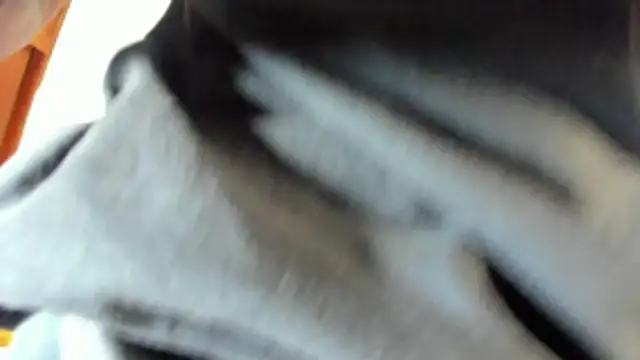 pipe monstercock online show from May 21, 2026, 8:16 pm
