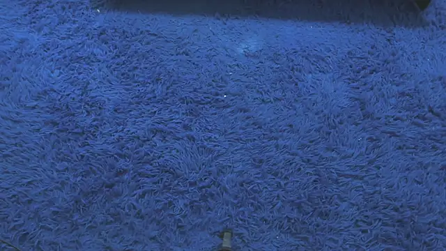 Snapshot of Mia-collins01 chatting on April 15, 2026, 12:34 pm Mia-collins01 online show from April 15, 2026, 12:34 pm