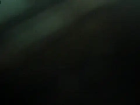 axel voss online show from April 25, 2026, 10:18 pm